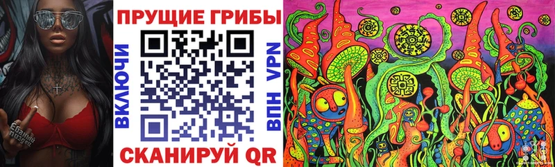 гидра ССЫЛКА  Ленинск  Псилоцибиновые грибы мицелий 